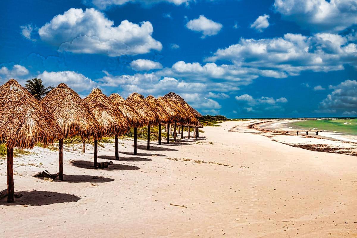 Hacienda Antigua Villa, 50M From Sandy Beach إل كويو المظهر الخارجي الصورة